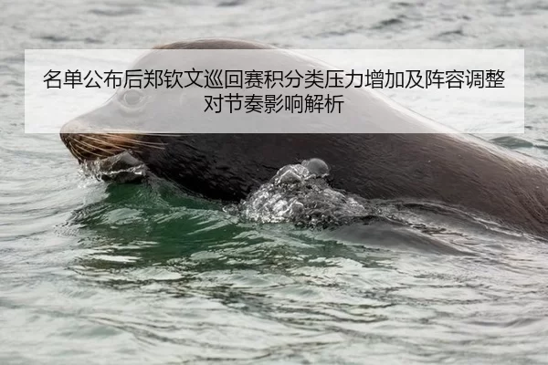 名单公布后郑钦文巡回赛积分类压力增加及阵容调整对节奏影响解析